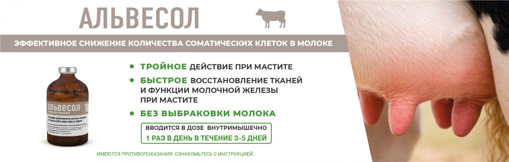 ?brizy media=wp 8464f787962e4c5c0f161688dfb77a93