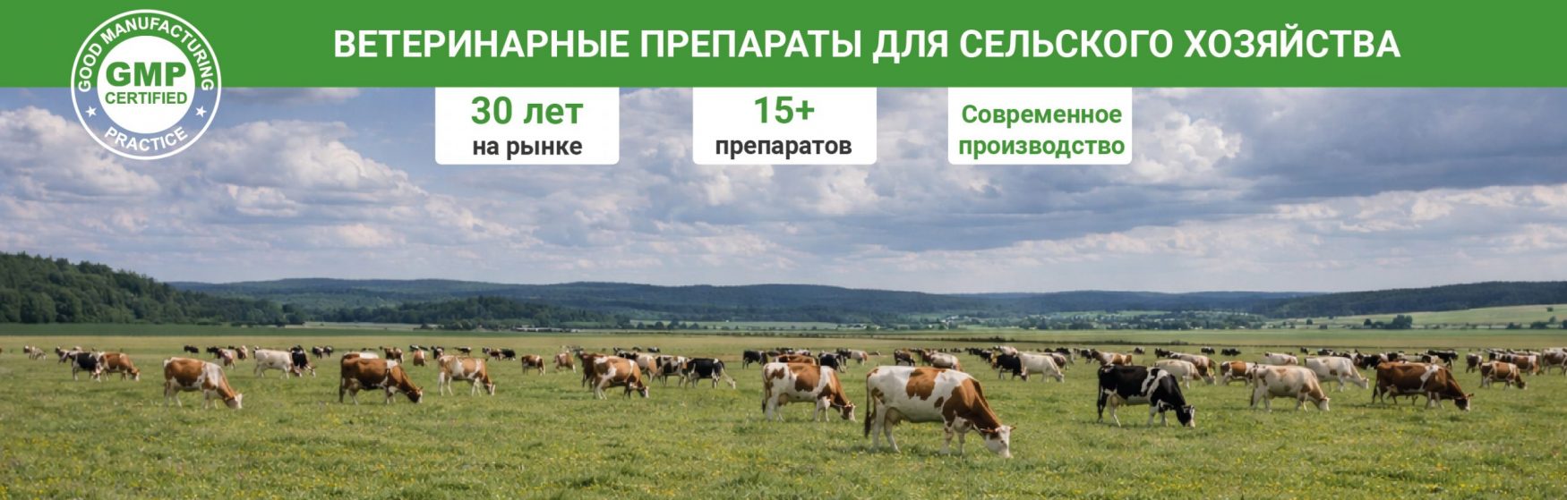 ?brizy media=wp 8bd8b5f2aa8dbbfd812cfa9d7d04a9d2