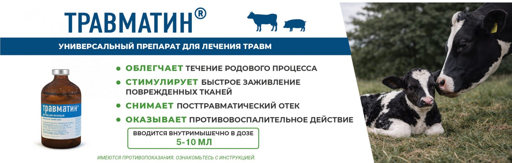 ?brizy media=wp f3cfcec24f60fbd8b4aaa402337c1ba5