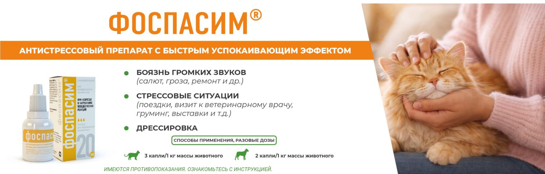 ?brizy media=wp 8cbbb5cd6a5a97004b499540c9c95fb5