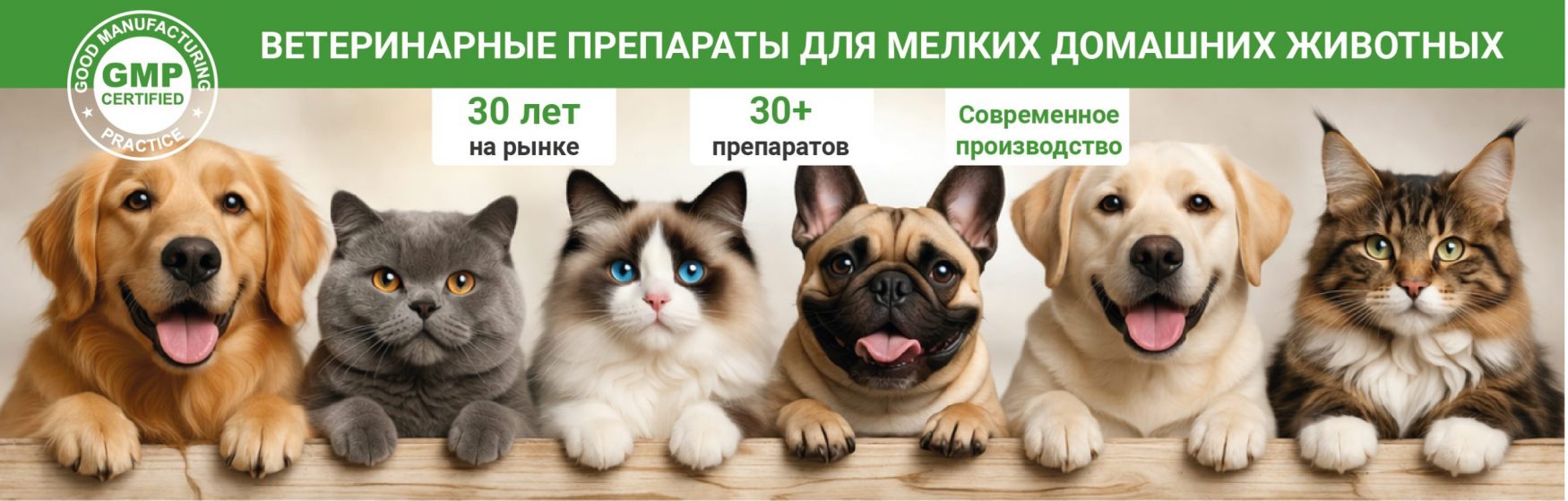 ?brizy media=wp c8cc46b0ab88ce0dd28c0c9183c87247