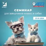 АВЗseminarHelvet