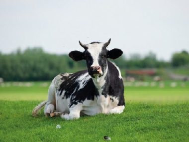 002_energi 002 energi