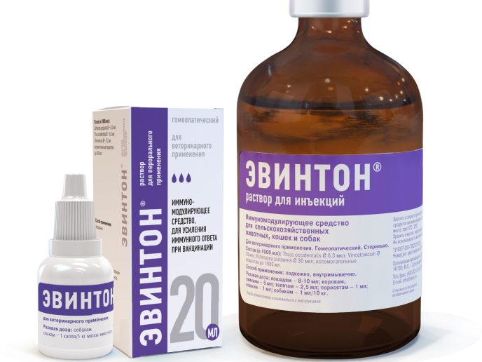 Эвинтон AI: иммуномодулятор для домашних животных