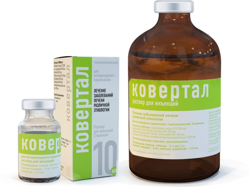 Собаки - Helvet.ru