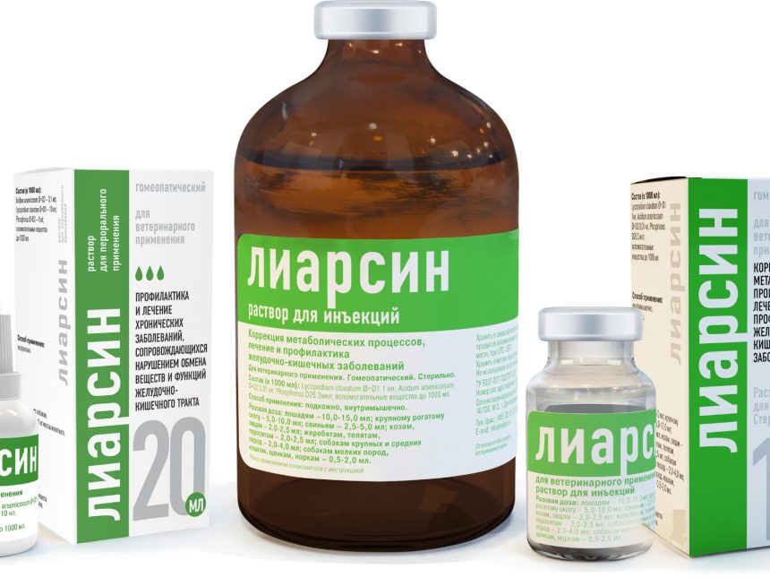 Собаки - Helvet.ru