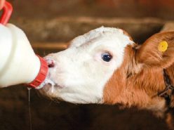 bank_molozivo_obl bank molozivo obl